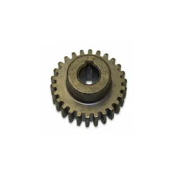 Lippert Components ReplacementSlide Out Crown Gear