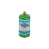 Flame King DOT Portable 1lb Refillable Propane Cylinder